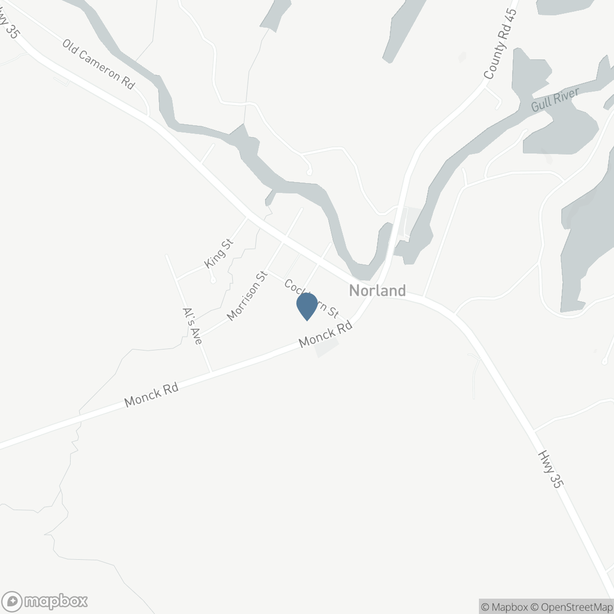 15 COCKBURN STREET, Coboconk, Ontario K0M 1K0